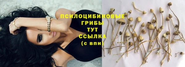 гидра Аркадак