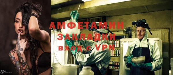 гашик Няндома