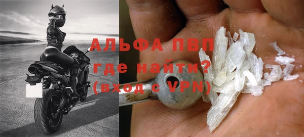 гидра Аркадак